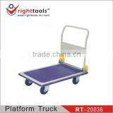 Platform Truck