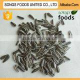 Chinese Sunflower Seeds 363 thumbnail-1