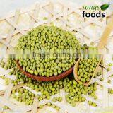 Green Mung Beans In China thumbnail-1