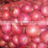 Red Onions Packing Small Size Red Onion thumbnail-2