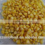 Young Canned Sweet Kerenl Corn With Good Taste Wholesale Canned Food
