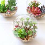 Decorative Artificial Flower in Glass Vase for Christmas and Home Decoration