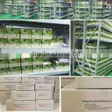 Fluoroquinolone Diagnostic Rapid Test Kit for Poultry Eggs (Poultry Antibiotics Test Kit) thumbnail-5