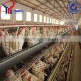 Chicken Layer Equipment for Poultry Farm thumbnail-3