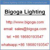 Bigoga LED Gas Station Canopy Light Company