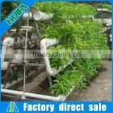 Huifa Professional Commercial Hydroponics Systems for Lettuce/ Spinach Growing thumbnail-2