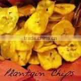 Made in China Frying Plantain Chips Machines