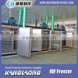 High Quality IQF Contact Freezer(Seafood Freezer) thumbnail-4