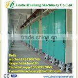 Supply Turnkey Rice and Wheat Flour Making Machine Price for Grain Flour Mill thumbnail-3