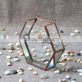 New Design Home Decor Hanging Terrarium Hydroponic Glass Containers thumbnail-3