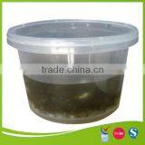 High Quality Plastic Food Packaging Container thumbnail-1