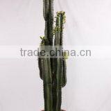 SJ3001107Ornamental Artificial Green Cactus Plants thumbnail-5