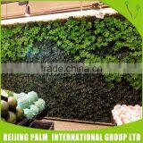 High Quality Decor Vertical Garden Modules Interior Decoration For Gardon Ornaments thumbnail-3