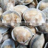 Boiled Baby Clam Nature Fresh FAO61 thumbnail-2