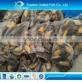 Seafood Export Frozen Mussel Shell Wreaths thumbnail-1