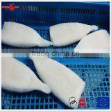 Frozen IQF High Quanlity Pacific Squid Tube thumbnail-5