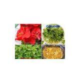 Caraway ,fennel Seeds ,coriander ,calendula thumbnail-1