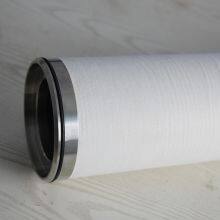 Natural Gas Coalescer Filter Cs604lgh13