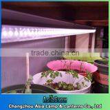 Led Tube Light t8 Grow Bulb Integrated thumbnail-1