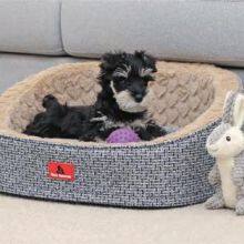 Oval Pet Bed thumbnail-4