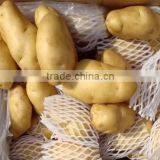 2015 Crop Chinese Fresh Holland Potato Best Quality thumbnail-1