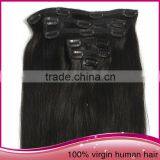 2015 Wholesale Price Clip in Hair Extensions Best Quality Remy Straight Clip In Hair Extension thumbnail-4