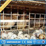 Commercial Quail Cages thumbnail-3
