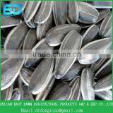 Wholesale Chinese Sunflower Seeds, Sunflower Seed Market Price thumbnail-1