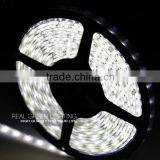 Waterproof SMD 5050 60 LEDs/M 14.4W/M 12V LED Flex Strip Light thumbnail-1