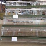 industrial galvanized steel Hot Galvanized Automatic Chicken Cage for growing broilers and pullets