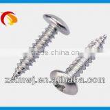Mushroom Head Phillips Slot Self Tapping Screw A With Plating White Zinc