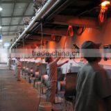 GRC Fiberglass Roving Zro2 16.7% thumbnail-5