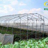 Greenhouse Grow Tent thumbnail-1