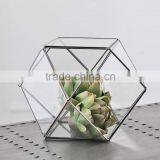 Geometric Glass Terrarium Wholesale thumbnail-3