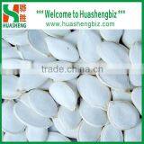 Edible White Pumpkin Seeds thumbnail-1