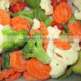 Fresh Bulk Iqf Fruits and Vegetables Cold Storage