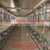 Herringbone Type Cow Milking Parlor Wtih Electric Milk Meter System