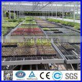 Galvanized seedbed welded wire mesh panel