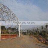 Chosen Greenhouse Project Mushroom Used Commercial Greenhouses thumbnail-5