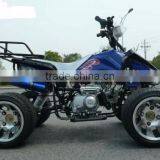 110cc Mini Atv for Sale(ATV110-012) thumbnail-4