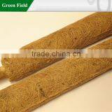 Wholesale Coconut Plant Stake thumbnail-2