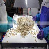 Fresh Frozen Boiled Clam Variety Shell-On thumbnail-3