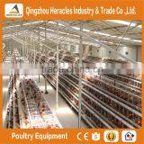 Hot Selling Asia Chicken Cage for Sale Automatic Chicken Layer Cage for Sale in Philippines thumbnail-3