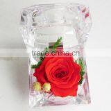 Fashionable And Natural Real Rose Preserved Flowers Wholesale With Acrylic Ring Box Decoration thumbnail-3