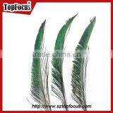 Wedding Dresses Decoration Indian Wholesale Natural Peacock Feather thumbnail-5