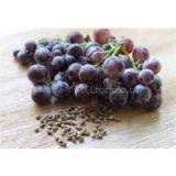 Well-known Xinjiang Pure Natural Grape Seed Extract for Anti-oxidation