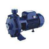 1HP DTM16 Single Stage Centrifugal Pump thumbnail-1