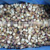 Frozen Boletus Edulis, Whole, Grade A, <2cm