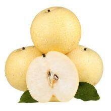 Fresh Fruit Pears/Ya Pear/Fragrant Pear/Crown Pear/Qiuyue Pear/Golden Pear thumbnail-4