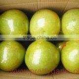 Chinese Fresh Honey Pomelo thumbnail-1
